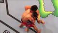UFC 197: Johnson vs Cejudo - zapowiedź walki MMA