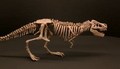 Jak zrobić szkielet T-Rexa długopisem 3D?